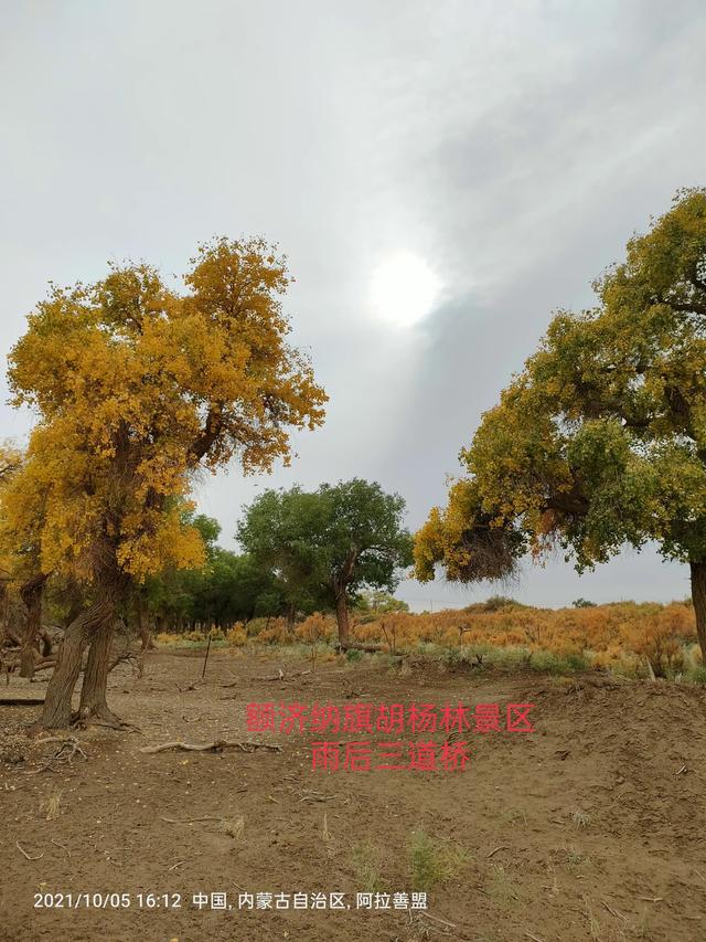 西行漫記之10月5日內蒙古篇