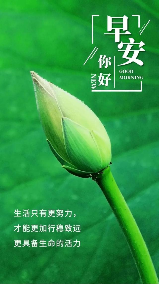 每一个清晨，都值得期待