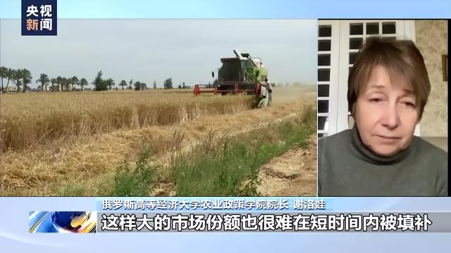 俄专家谈乌克兰局势对全球粮食影响