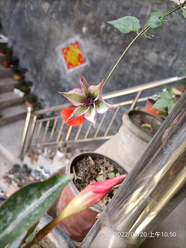 生活随笔记
