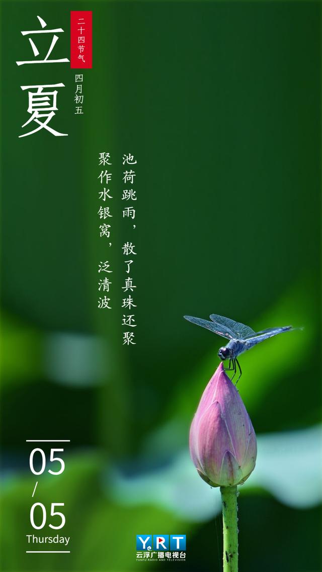 夏天，你好