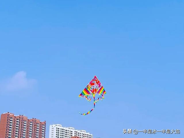 随笔：人生里，有些快乐一点也不复杂（三章）