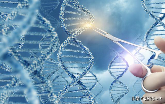 美国将放24亿只转基因蚊子，科学家：巴西曾孕育出超级蚊子