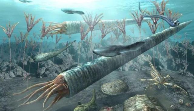 石油是古生物形成的？一个油田上亿吨石油，有那么多古代生物吗？