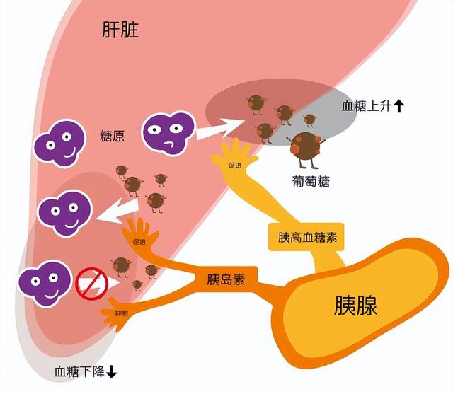 “断糖”瘦了30斤，竟得了糖尿病，这找谁说理去？