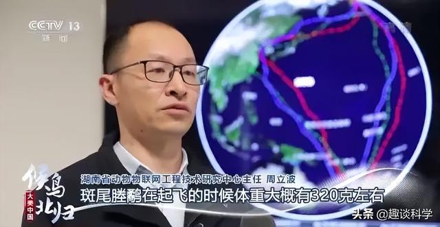 https://www.meipian.cn/56hvg5ic