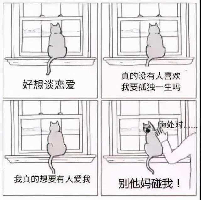 依恋的意思