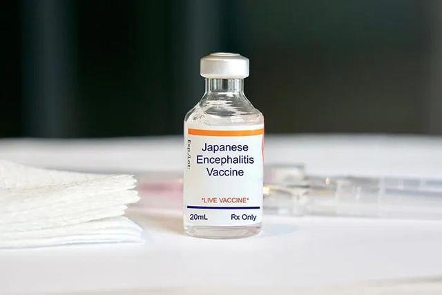 澳洲推出日本脑炎疫苗，猪肉可以安全食用，不过冬季仍要防蚊