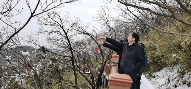 歐陽斌：初識七星山