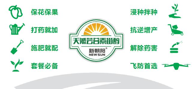 芸苔素的5大作用和谣言，4大搭配方案，你都知道吗？