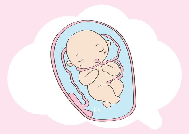 胎儿在个月份，正在快速的发育，但这几个信号要注意