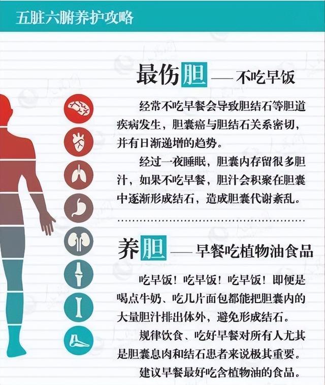 五脏六腑养护攻略一览表，十分实用，值得收藏