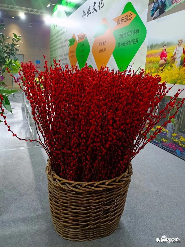 进口园林机械展