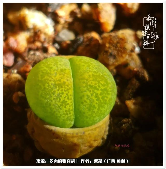 郑州新型泥土洗砂机