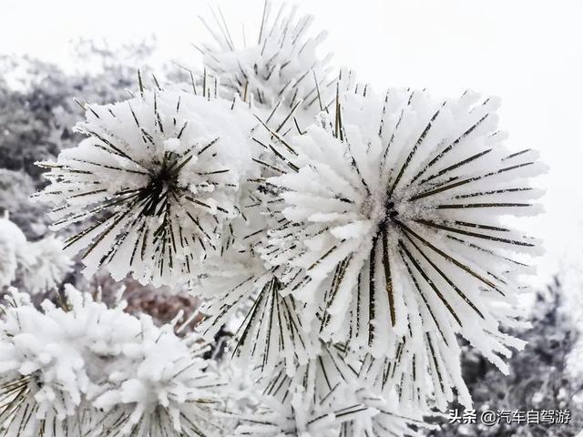 荆州螺旋洗砂机规格