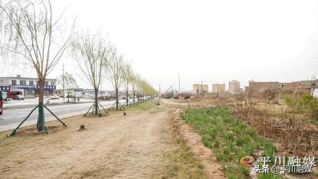 平川区：“国储林+绿色通道”厚植生态底色 扮靓城乡街景