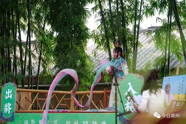 崇州田园花海“诗”会，等你来