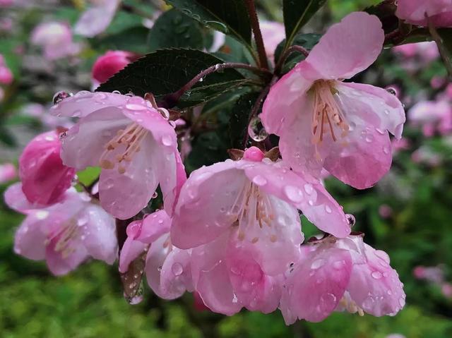 怎样分享道德经(怎样分享道德经感悟)