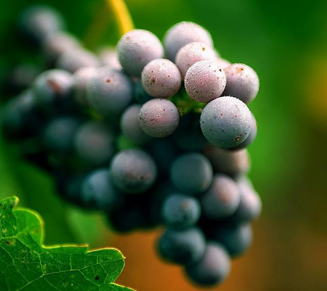 家长们注意：5种垃圾食品，对孩子健康不利，少往家里买