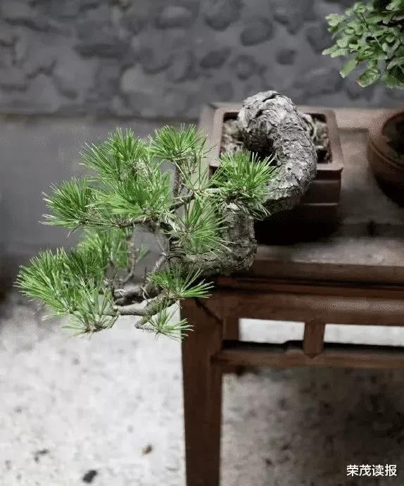 默默坚持的人生，一定会有收获