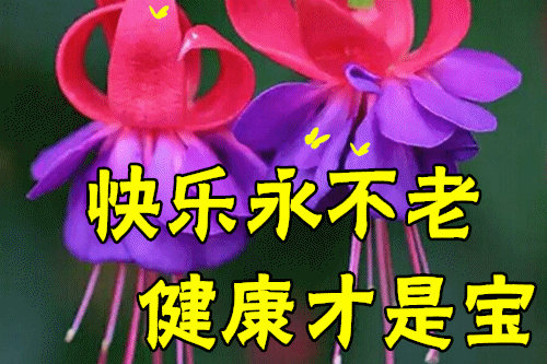 愿苍天保佑，人间无险，病毒早散，你我平安