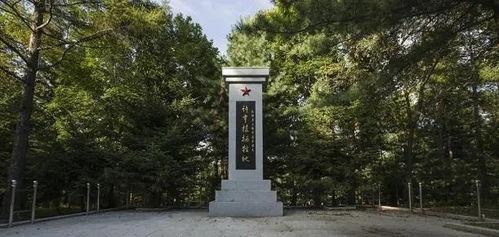 吃饭时一只鸟落在了肩头，将军立刻放下筷子，命令全军撤离