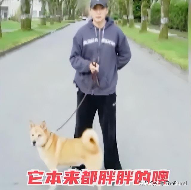 https://www.meipian.cn/56fa6tx6