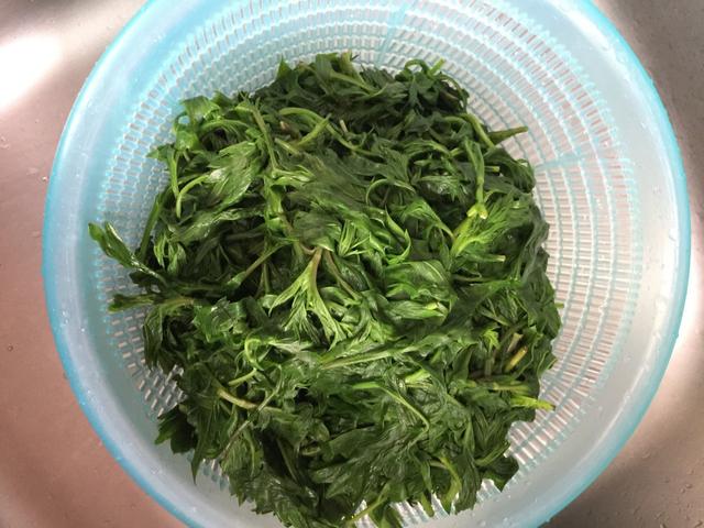 清明前后，碰到这菜别手软，一次囤30斤放冰箱，冬天吃还照样新鲜