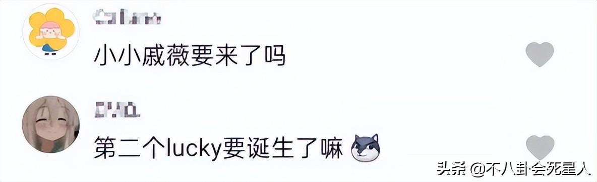 一天6个瓜，承认生子，发文怼人，偷税漏税，喜怒哀乐全有了