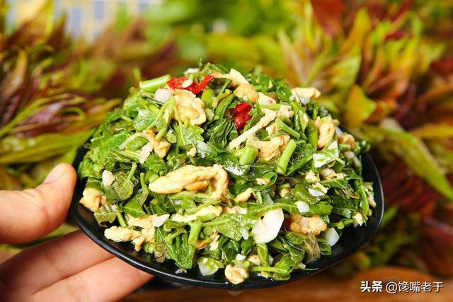 惊蛰前后，建议给家人多吃“5个鲜”，营养丰富，鲜嫩爽口，真香