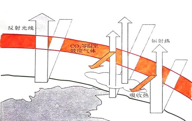 「全国首例」温室效应最直接的后果(温室效应最直接的后果是什么)