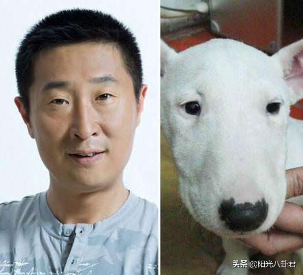 内娱8位最丑男星现状：有人被骗光家产，有人穷到吃低保度日