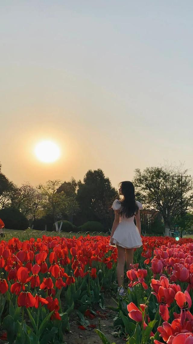 春日是永不消亡的罗曼蒂克