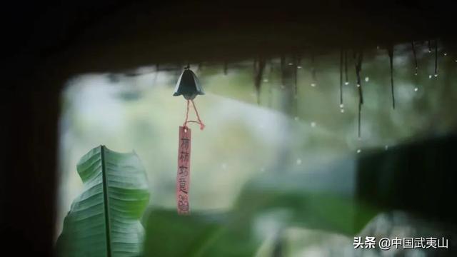 烟雨武夷 | 风景清明后，只一眼便忘却人间无数