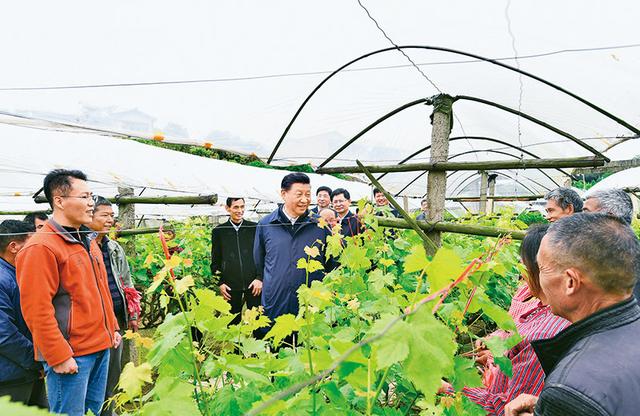 习近平：坚持把解决好“三农”问题作为全党工作重中之重 举全党全社会之力推动乡村振兴