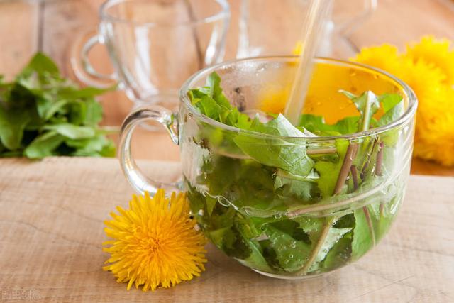 蒲公英泡水真的能对抗痛风吗？7种食物帮你食疗降尿酸