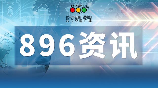 优化服务 贴身指导武汉市武昌区积极推进市场主体年报