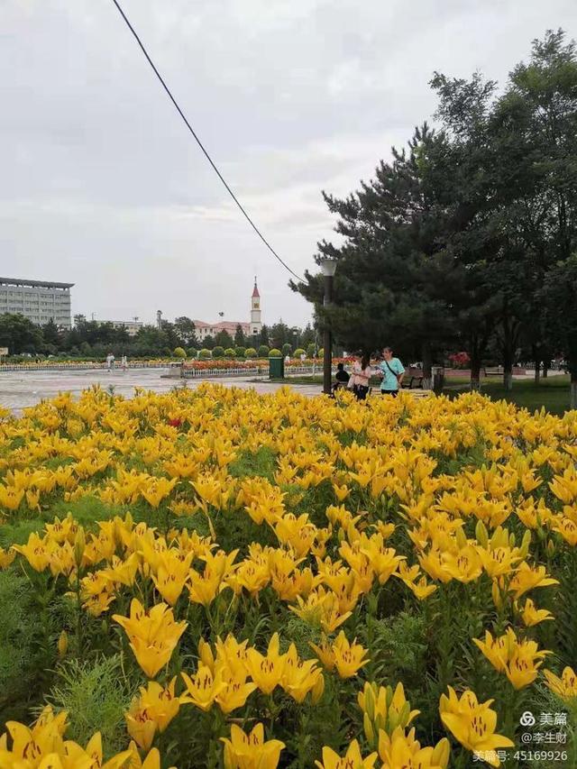 文章图片19