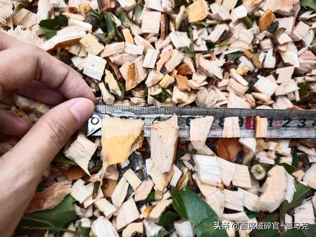 木材破碎机树根