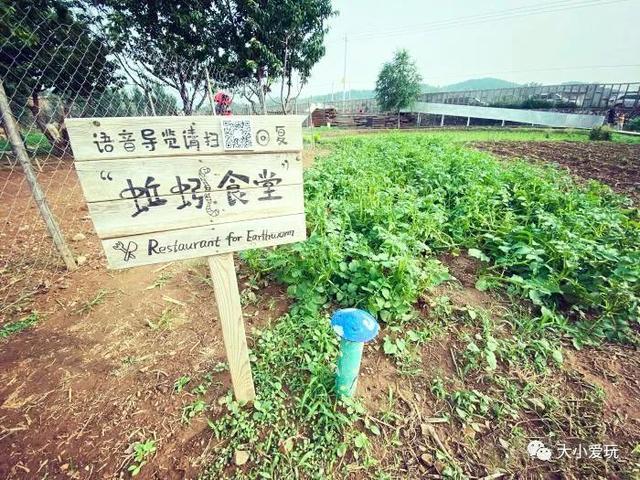 小学生拓展训练的项目有哪些