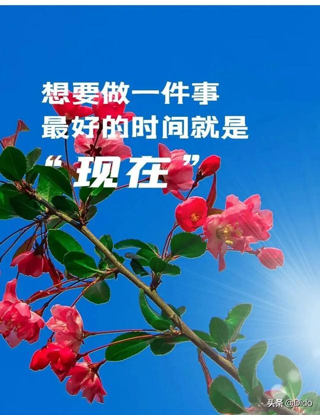 月25日是什么日子好不好(阳历3月25农历2月23)"