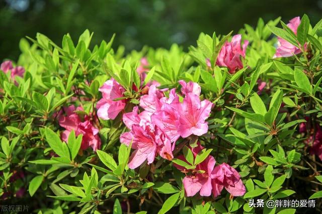 争的人生，才更顶天立地；不争的人世，才更恬静出尘