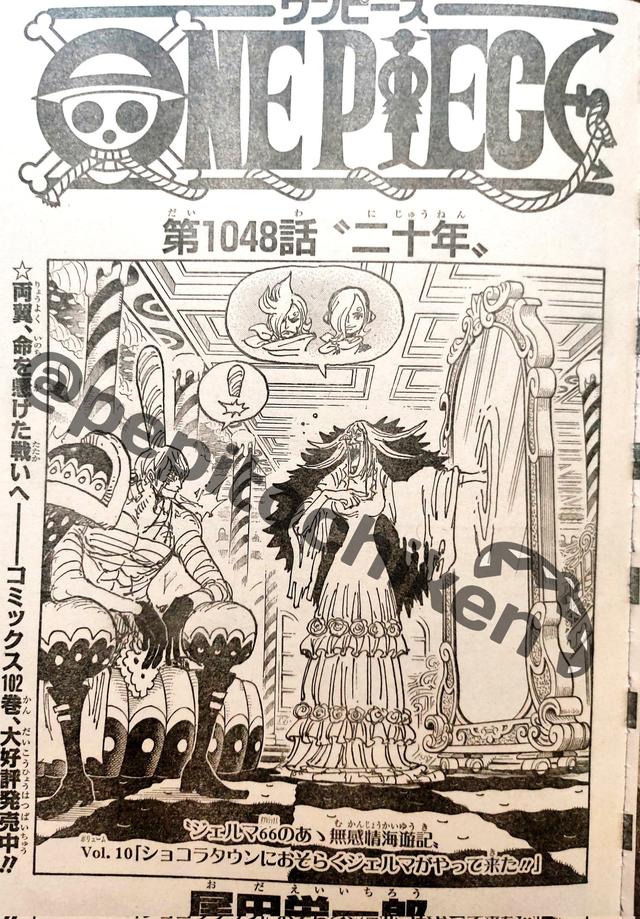 One Piece Chapter 1048 Detailed Line Translation Twenty Years Luju Bar