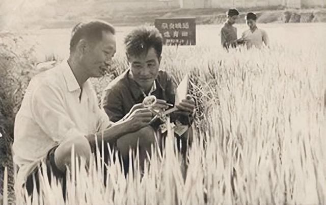 万小刀：清明节，怀念那个让我们吃饱饭的人
