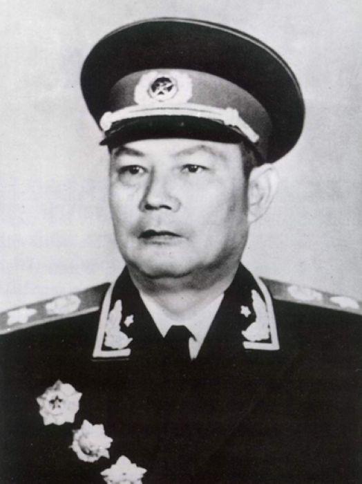 解放海南岛的是四野15兵团，为什么负责总指挥是叶剑英而不是林彪