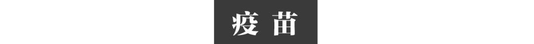 华人在缅北防疫28年 与诈骗团抢人