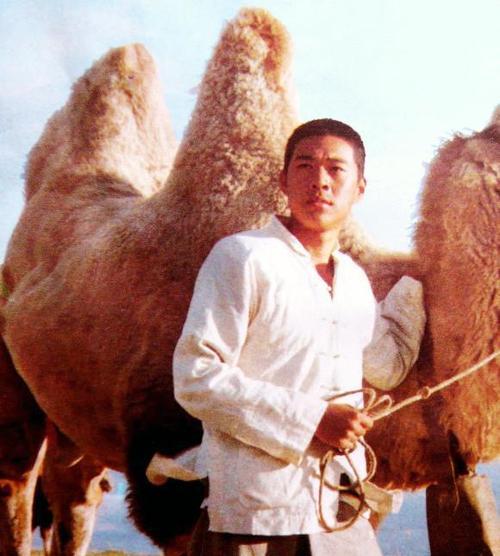 骆驼祥子老马人物图片