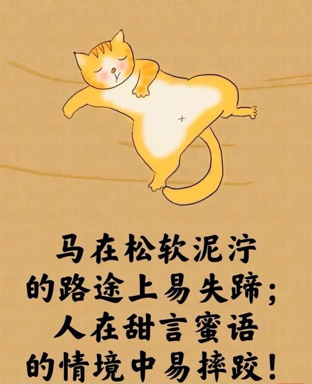 所谓的人生就是⋯