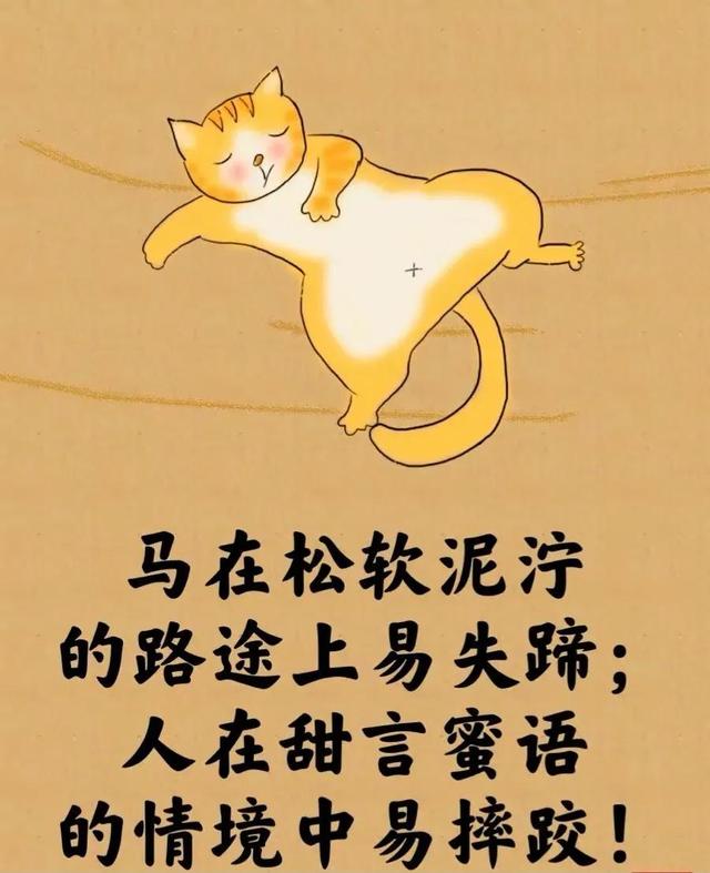 所谓的人生就是⋯