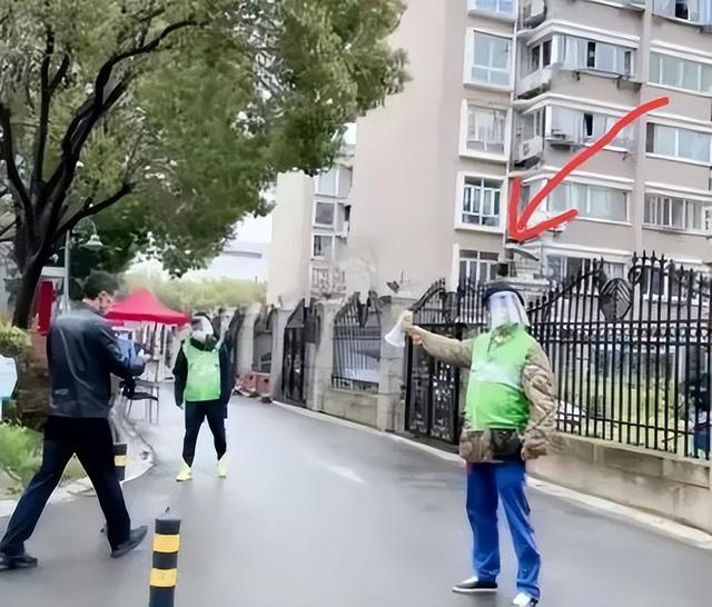 上海疫情下的明星：孙俪蔡少芬互帮互助，郭敬明独自排队做核酸